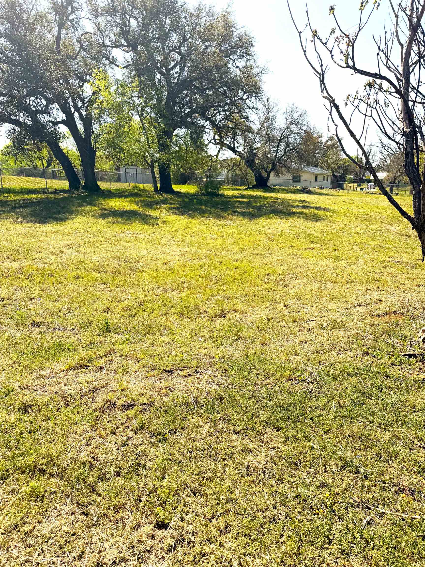 0 East Navarro Street Llano, TX 78643 - Photo 3 of 6 a view of a yard with a house and large trees