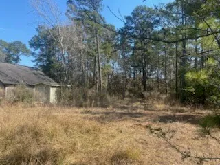 a view of backyard of house