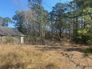 1513 Cheyenne Loop Conroe, TX 77316 - Photo 4 of 8 a view of backyard of house