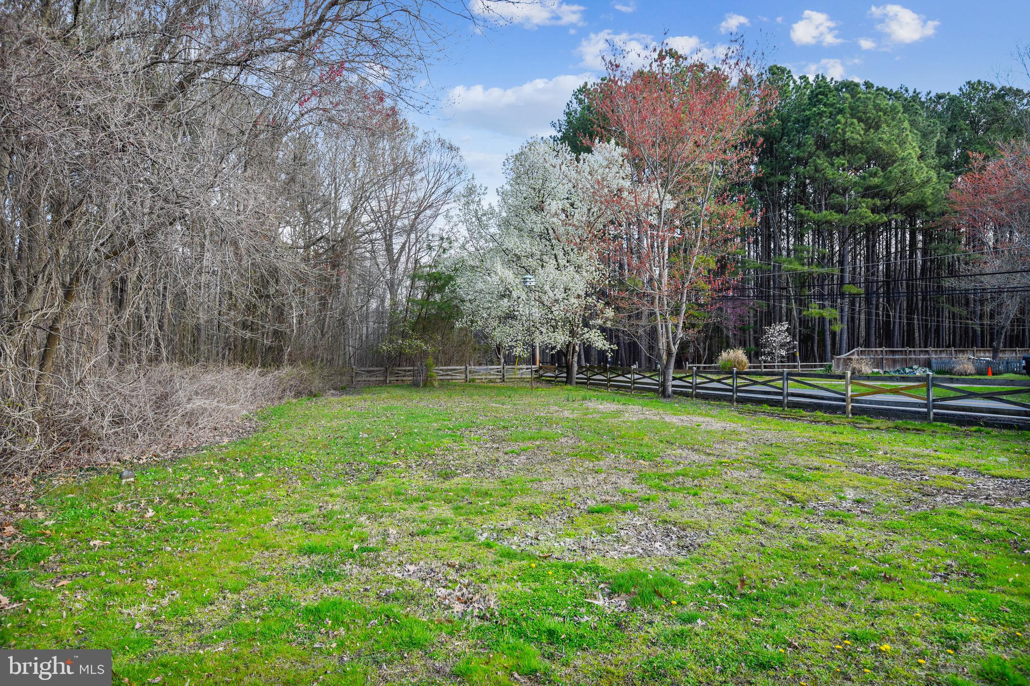 5874 Deale Beach Road Deale, MD 20751 - Photo 7 of 30 Side yard