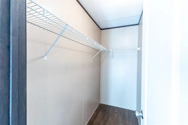 a view of a forest with trees in the background