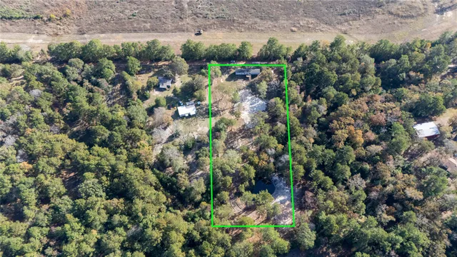 a view of a garden with plants