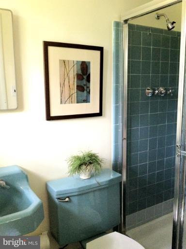 9828 Cherry Tree Lane Silver Spring, MD 20901 - Photo 8 of 17 Bath (Master) attached to Master on upper level