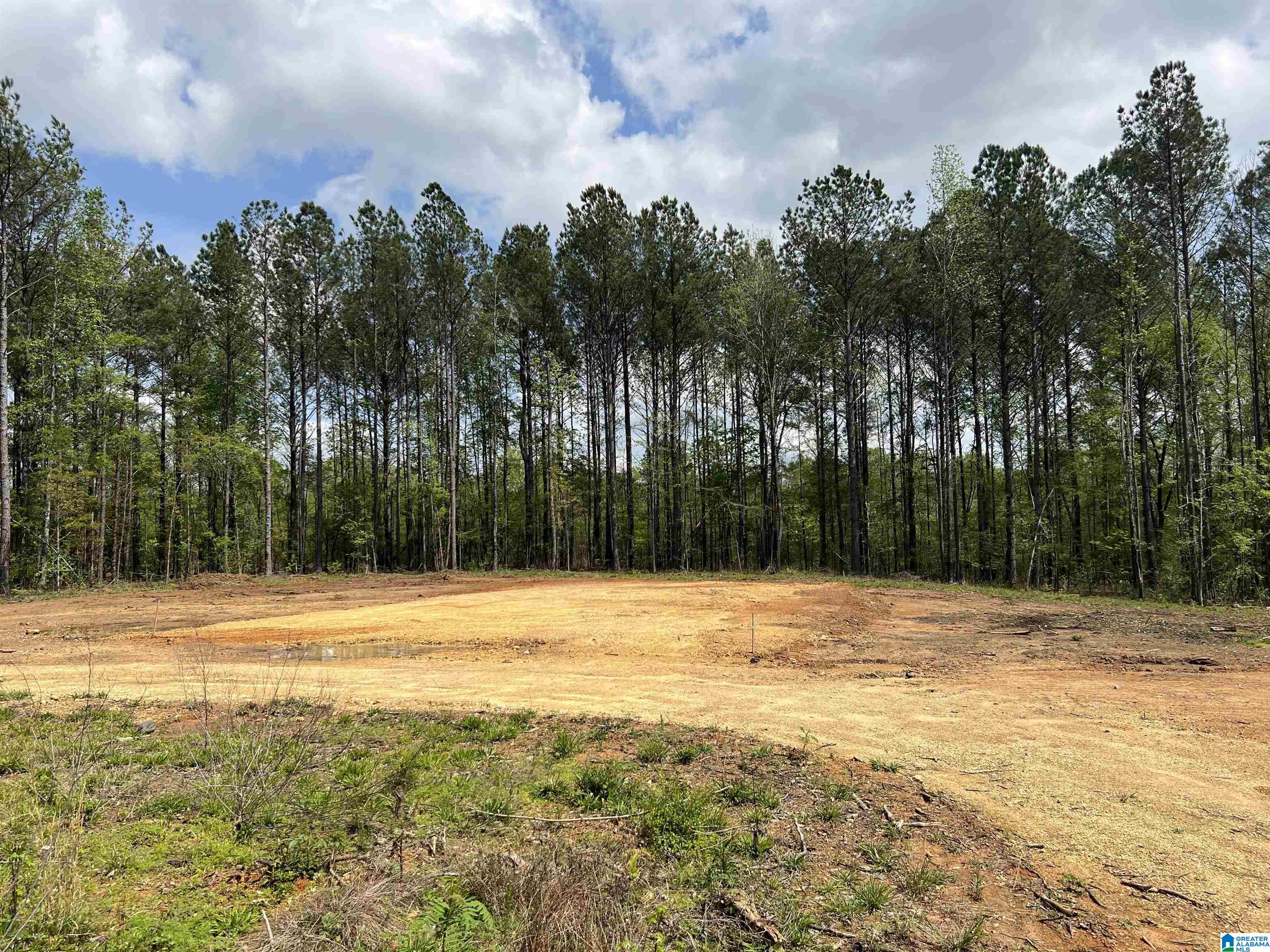 371 North Horton Road, Unit 1A Wilsonville, AL 35186 - Photo 1 of 8