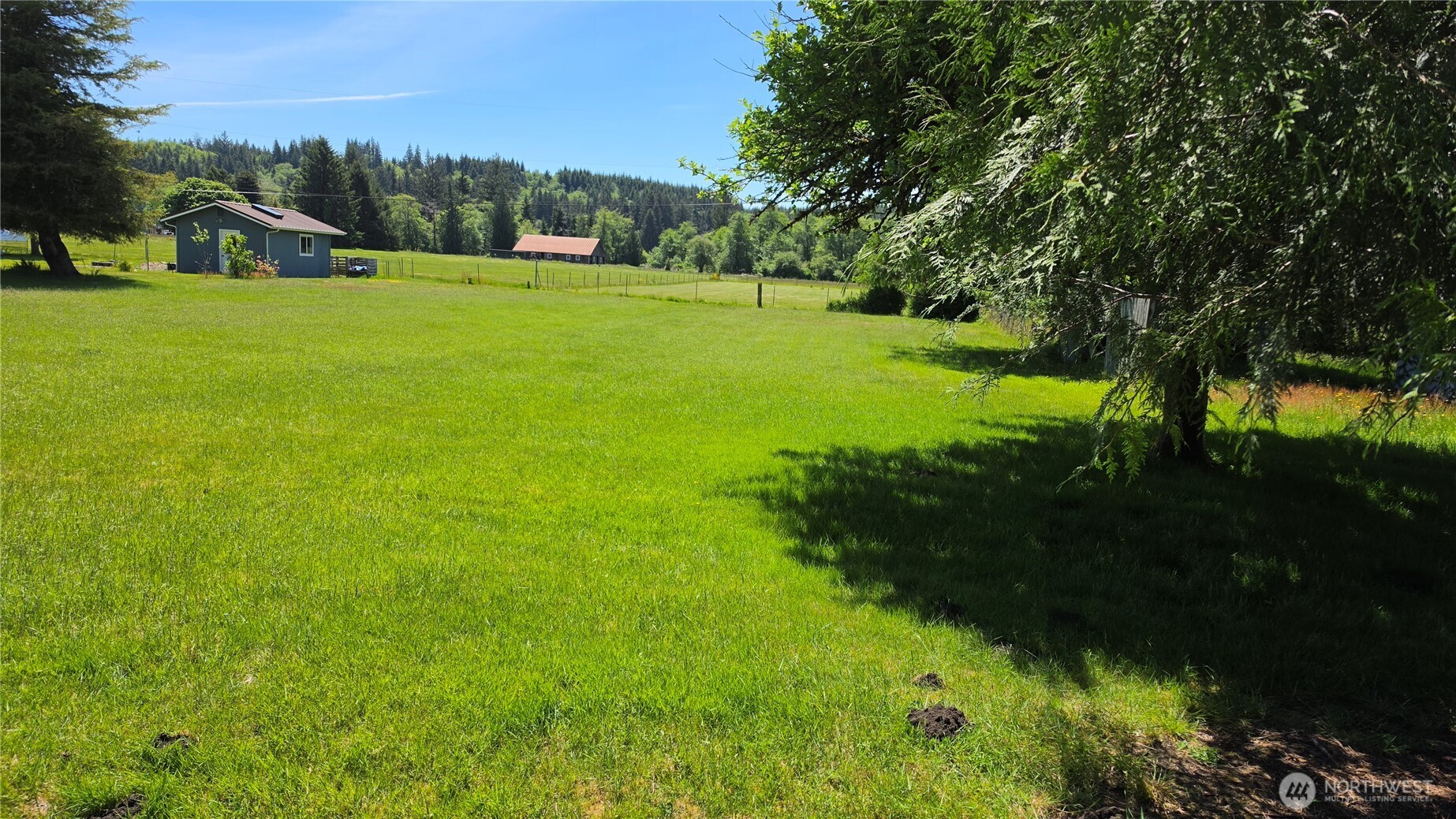 999 G Street Forks, WA 98331 - Photo 3 of 5