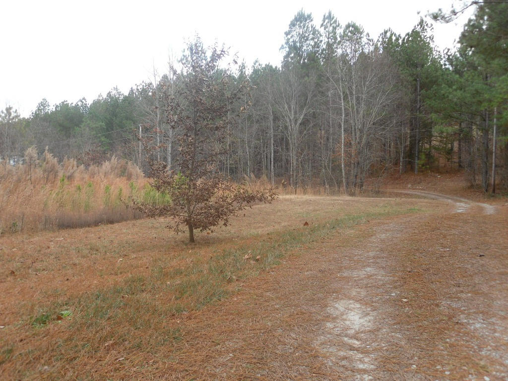 616 Beth Sadia Road Decatur, TN 37322 - Photo 2 of 24 616 Cottonport Ridge Lane Decatur