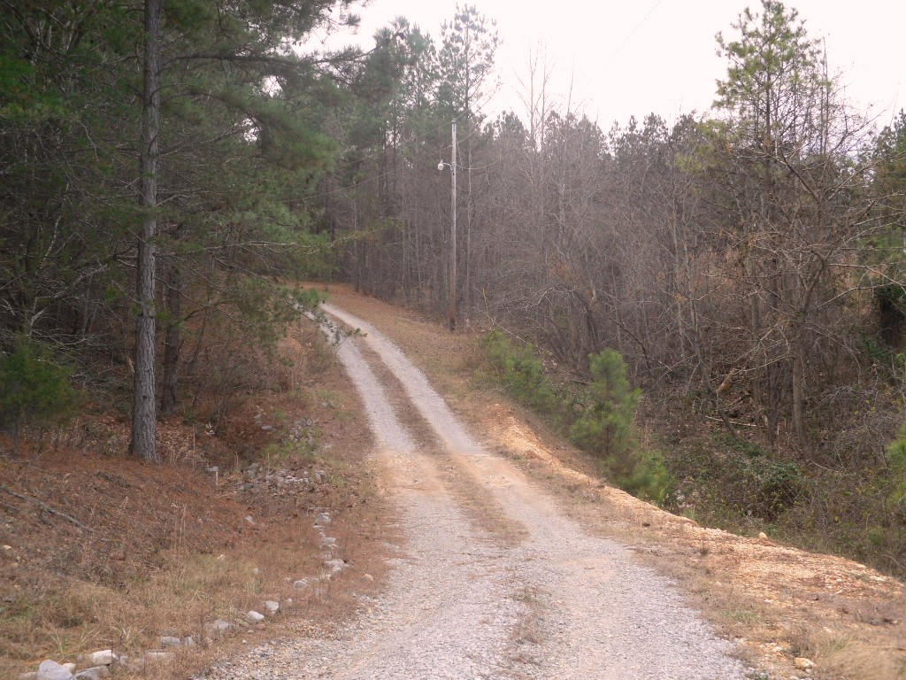 616 Beth Sadia Road Decatur, TN 37322 - Photo 3 of 24 616 Cottonport Ridge Lane Decatur (2)