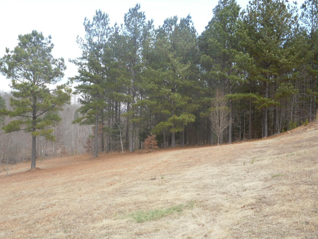 616 Beth Sadia Road Decatur, TN 37322 - Photo 7 of 24 616 Cottonport Ridge Lane Decatur (10)