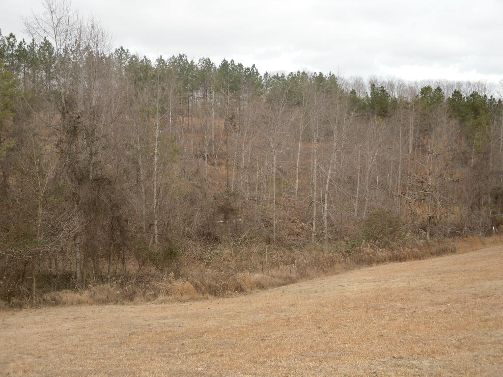 616 Beth Sadia Road Decatur, TN 37322 - Photo 8 of 24 616 Cottonport Ridge Lane Decatur (12)