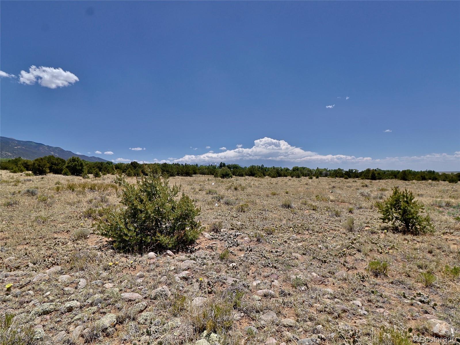 173 Gold Rush Trail Crestone, CO 81131 - Photo 2 of 6 a view of a lake in middle of a field