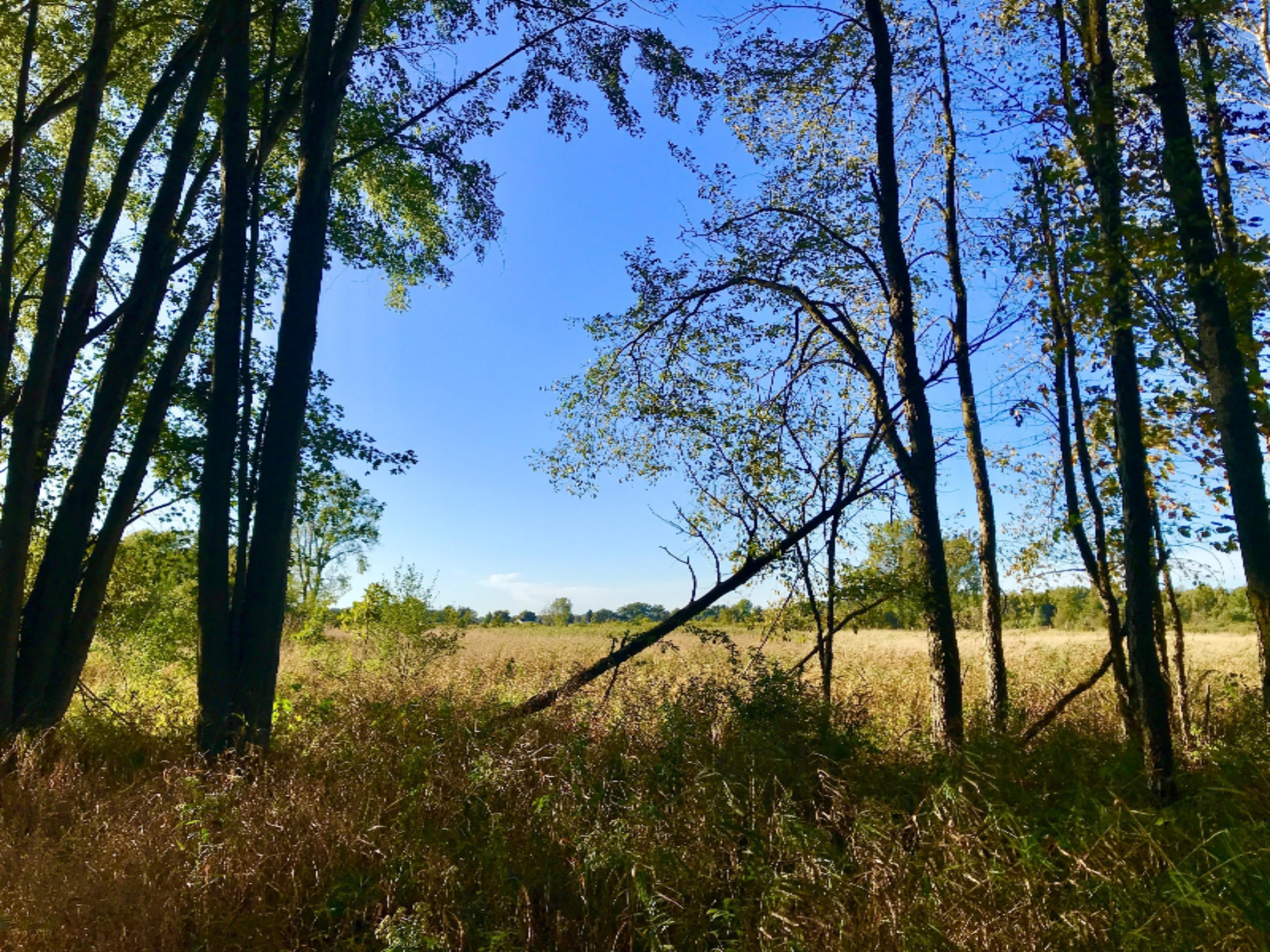 Wasson Road Gregory, MI 48137 - Photo 20 of 21 44