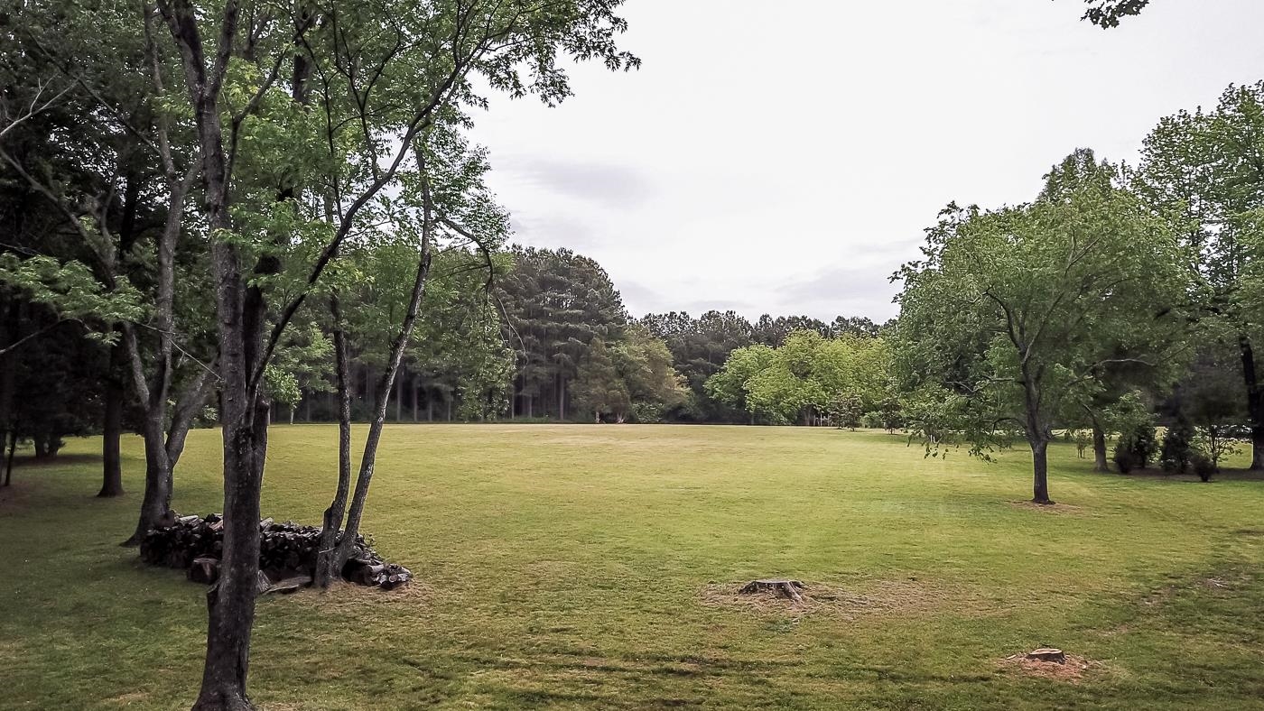 560 Bray Station Road Collierville, TN 38017 - Photo 1 of 4 a view of a yard with a tree