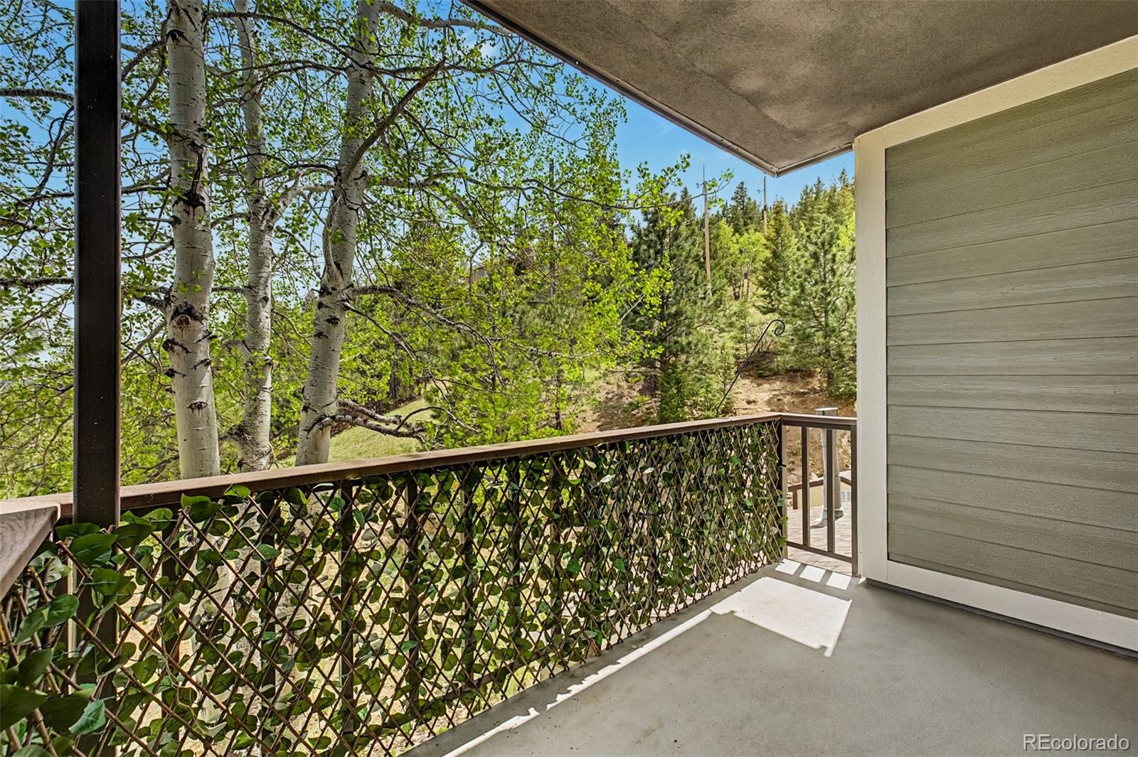 31270 John Wallace Road, Unit 305 Evergreen, CO 80439 - Photo 13 of 47