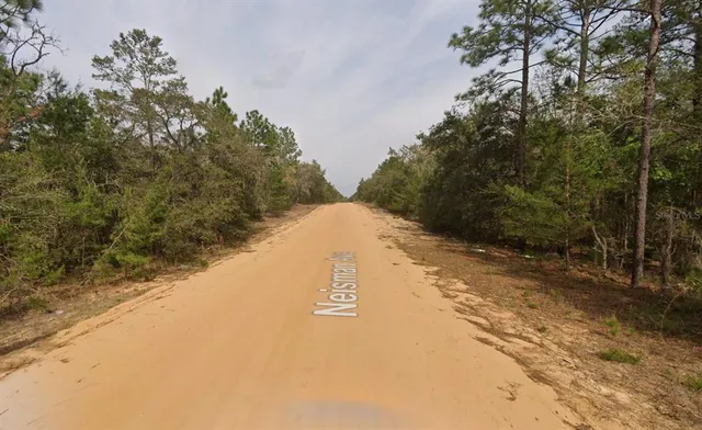 a view of a yard with trees