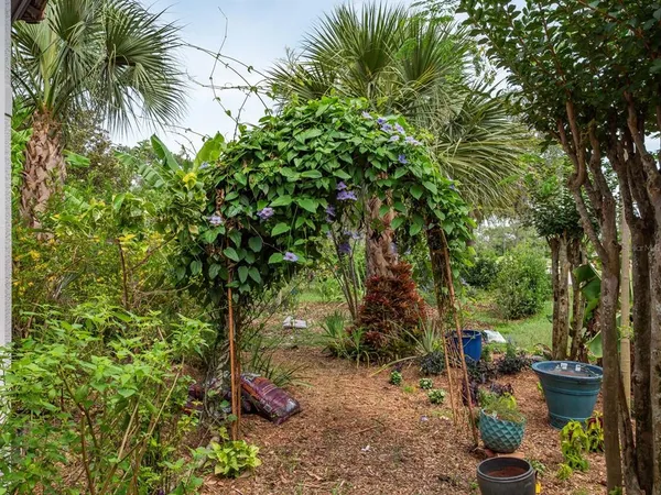 a view of a park with large trees