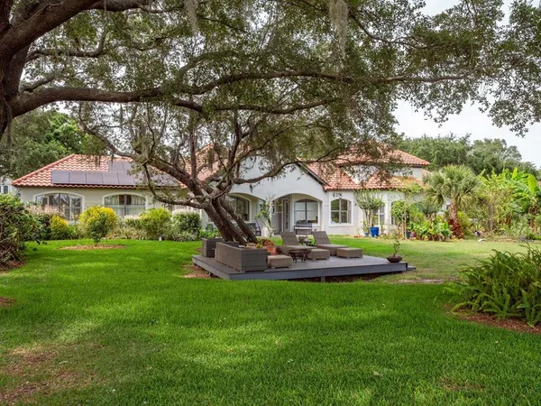 a view of flowers in a garden