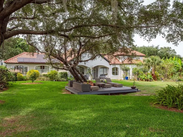 a view of flowers in a garden