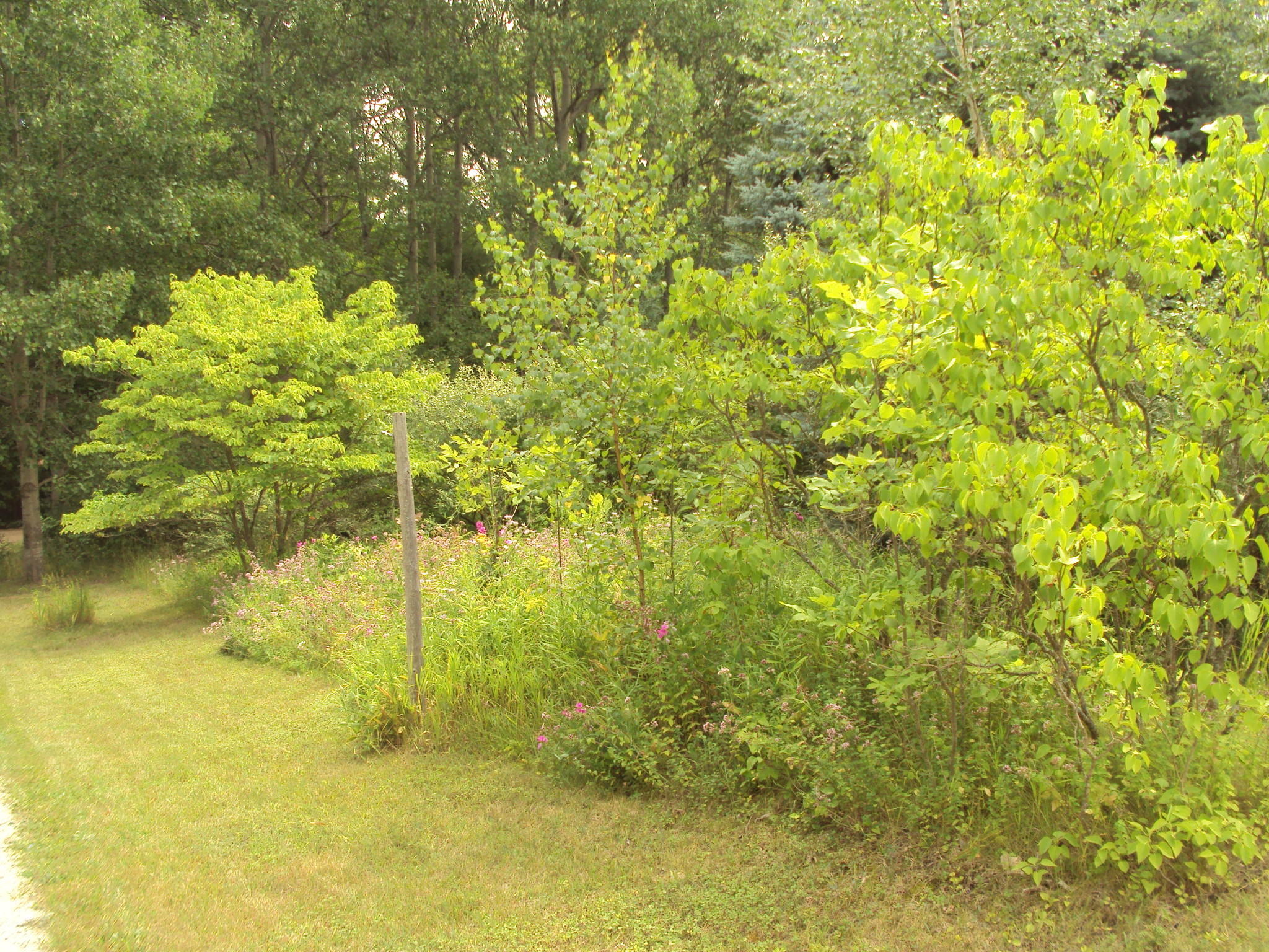 3480 Bowman Road Alanson, MI 49706 - Photo 19 of 36 Gallery Image 19
