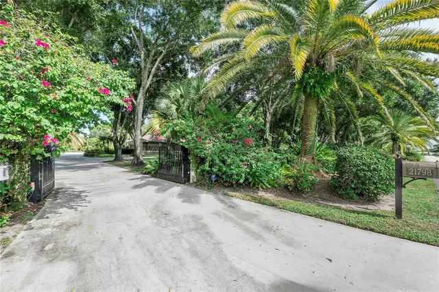 a view of a road with plants and trees