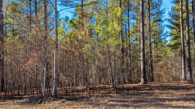 $225,000 | 0 Buck Crossing Drive, Unit LOT# 1024, Guild, TN 37340