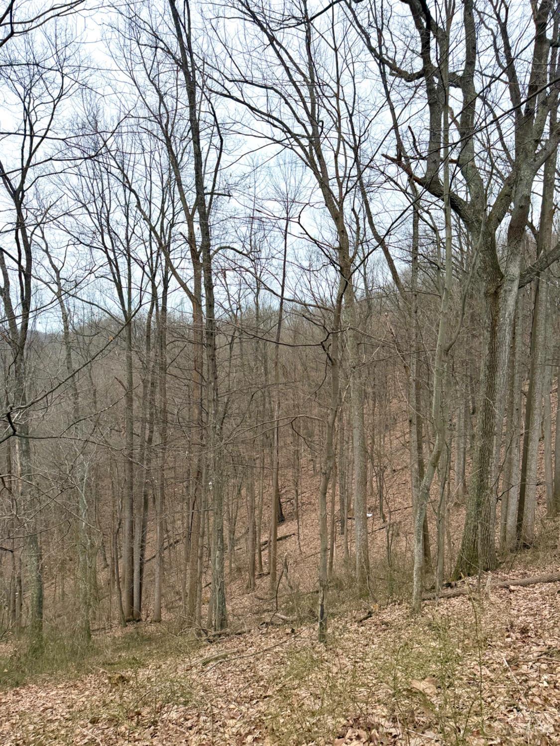 0 Straight Creek Road Waverly, OH 45690 - Photo 23 of 71