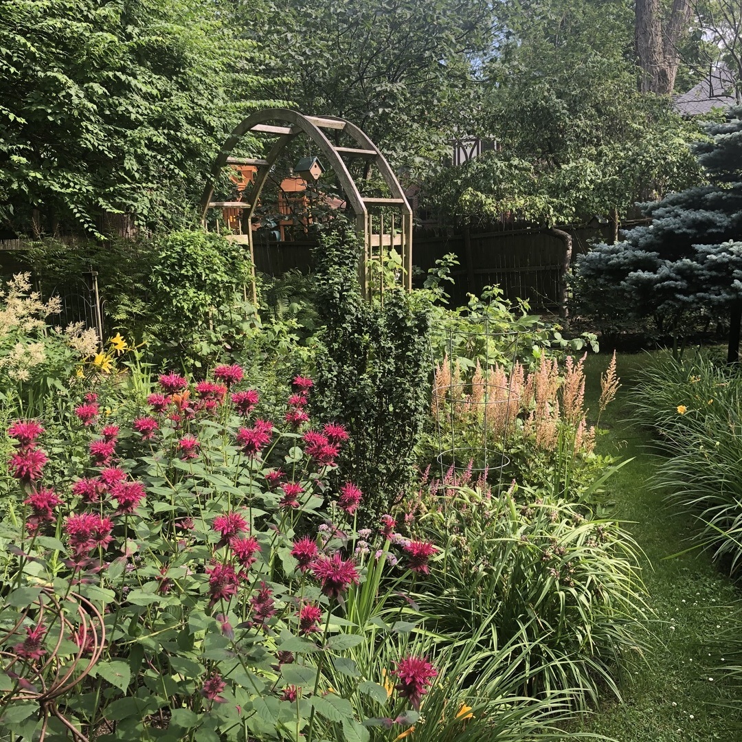 475 Maple Street Winnetka, IL 60093 - Photo 18 of 52 a picture of flowers