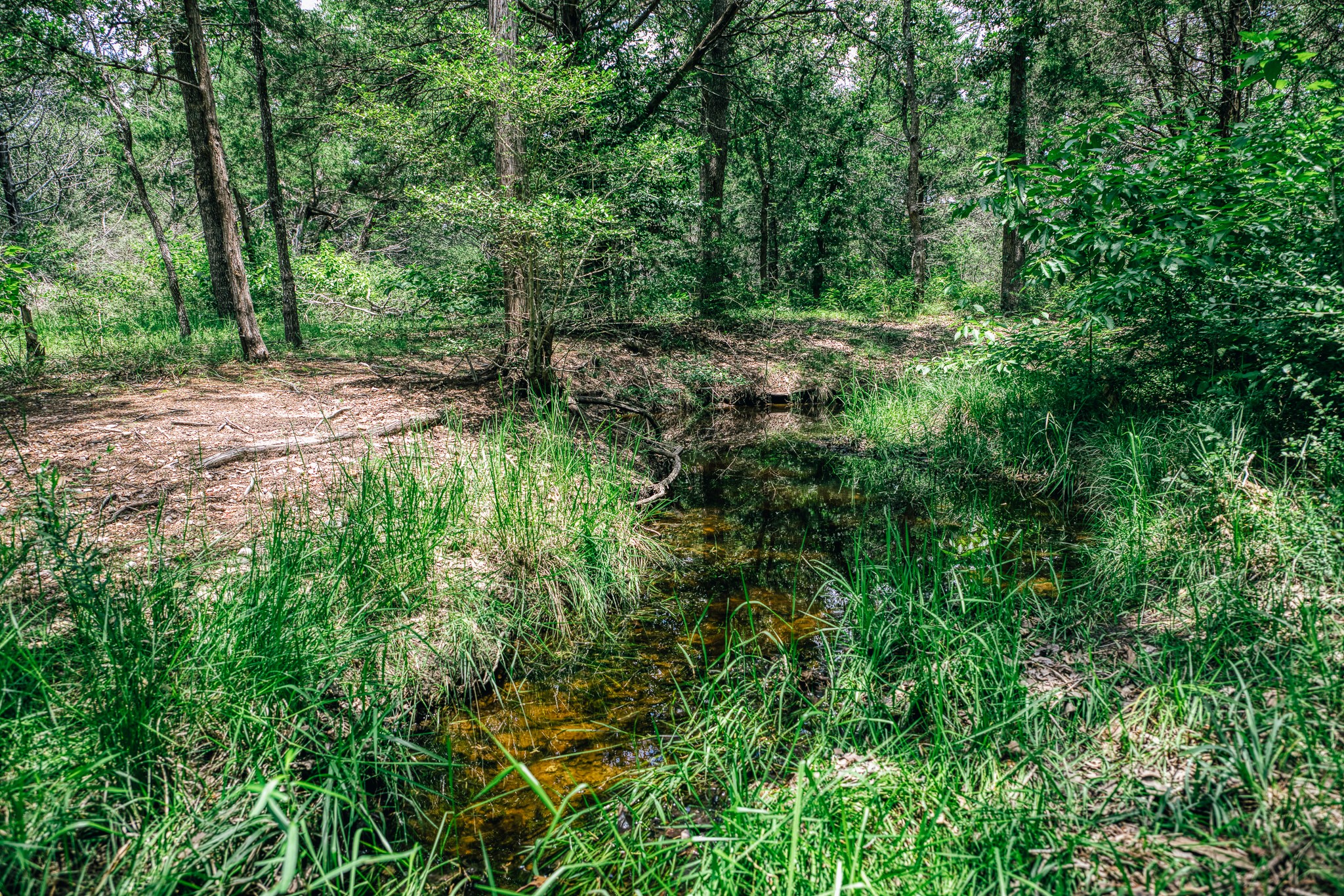 3301 Round Top Road Round Top, TX 78954 - Photo 15 of 21
