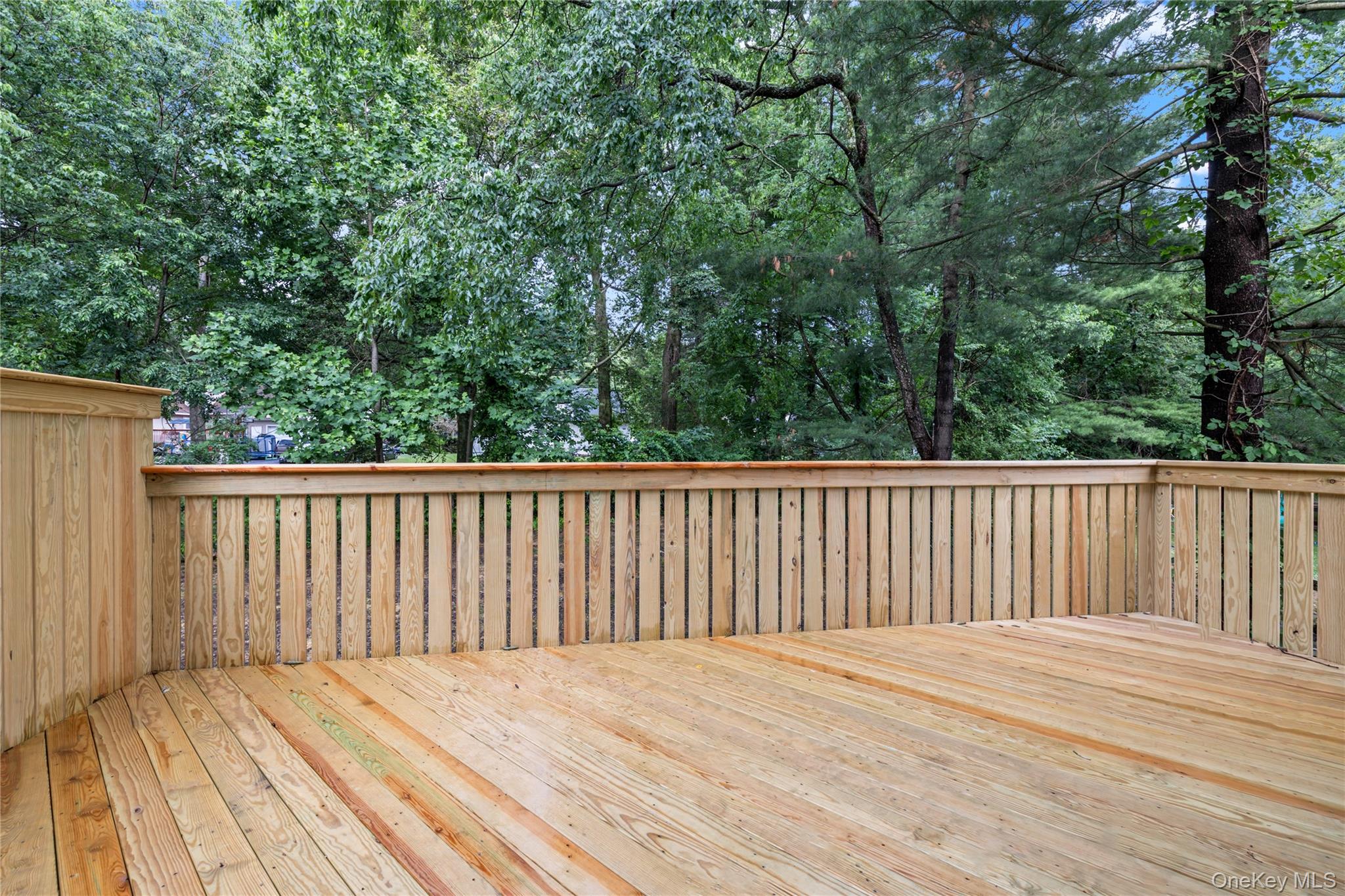 3 Greene Road Spring Valley, NY 10977 - Photo 16 of 50