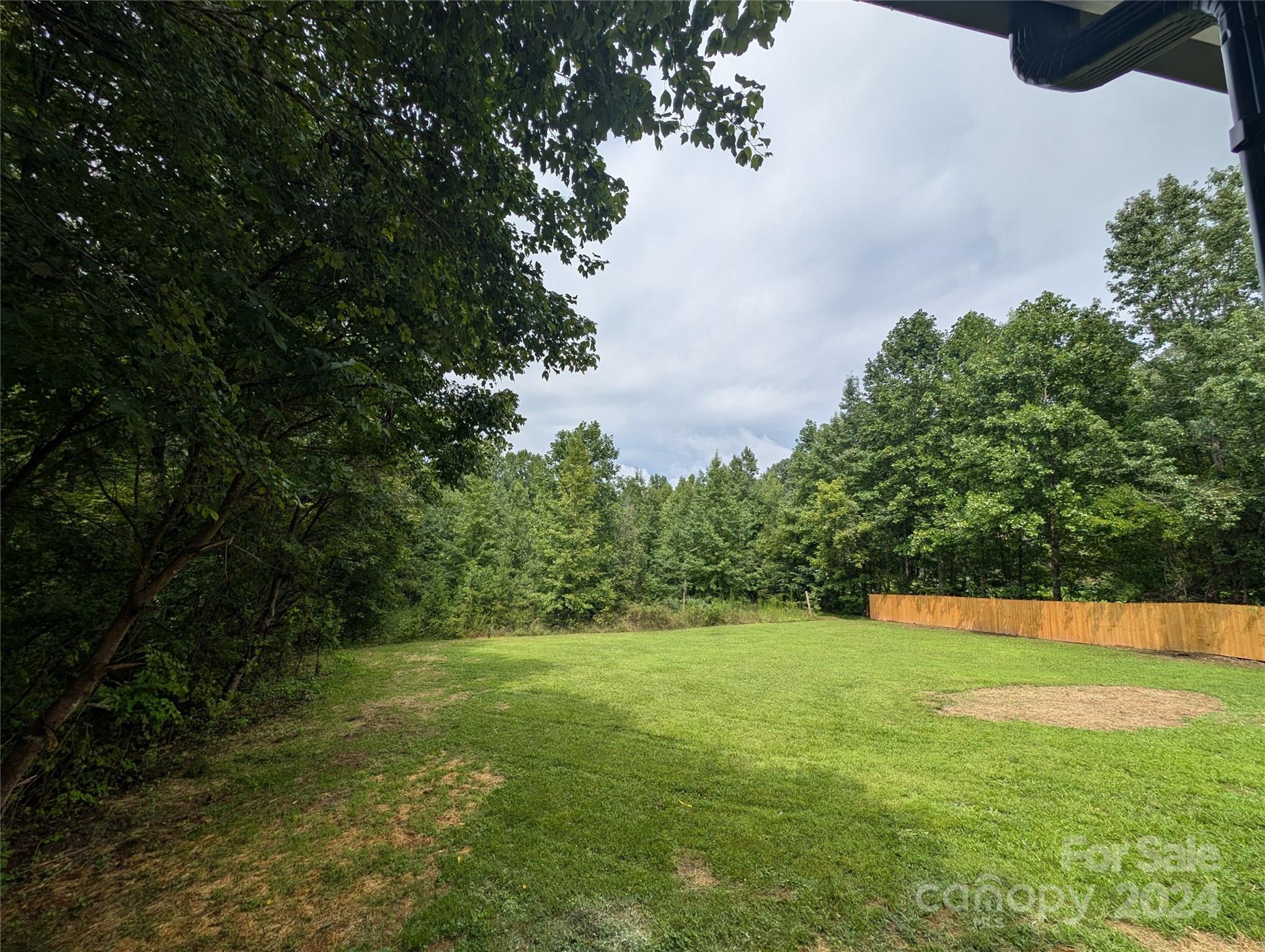 1450 Quarry Road Woodleaf, NC 27054 - Photo 8 of 23 a view of green field with trees in the background