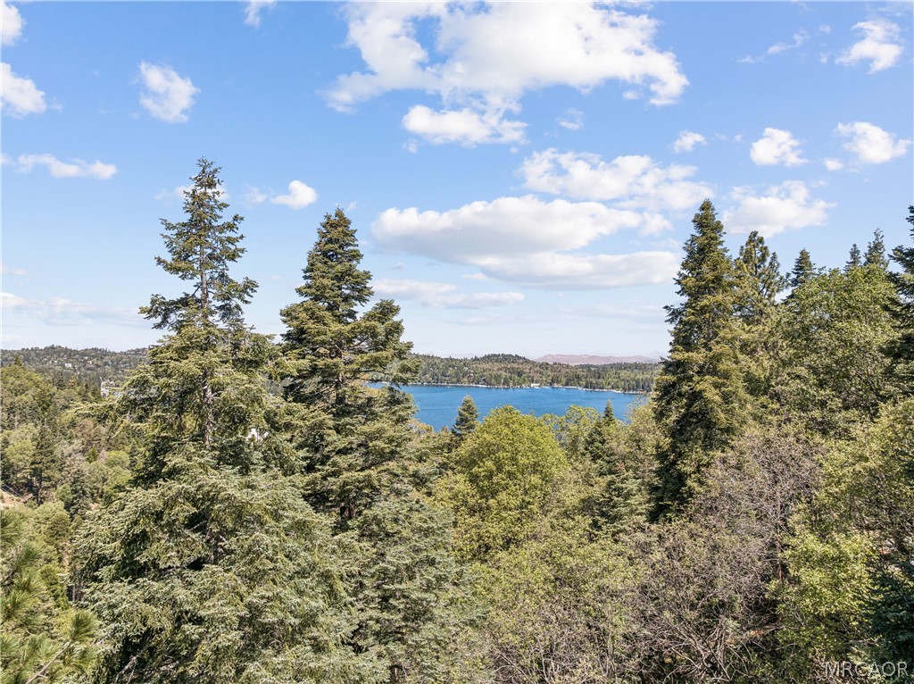 590 Arrowhead Villa Road Lake Arrowhead, CA 92352 - Photo 43 of 43
