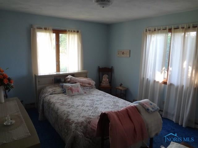 21458 Luckey Road Luckey, OH 43443 - Photo 23 of 29 Gallery Image 23