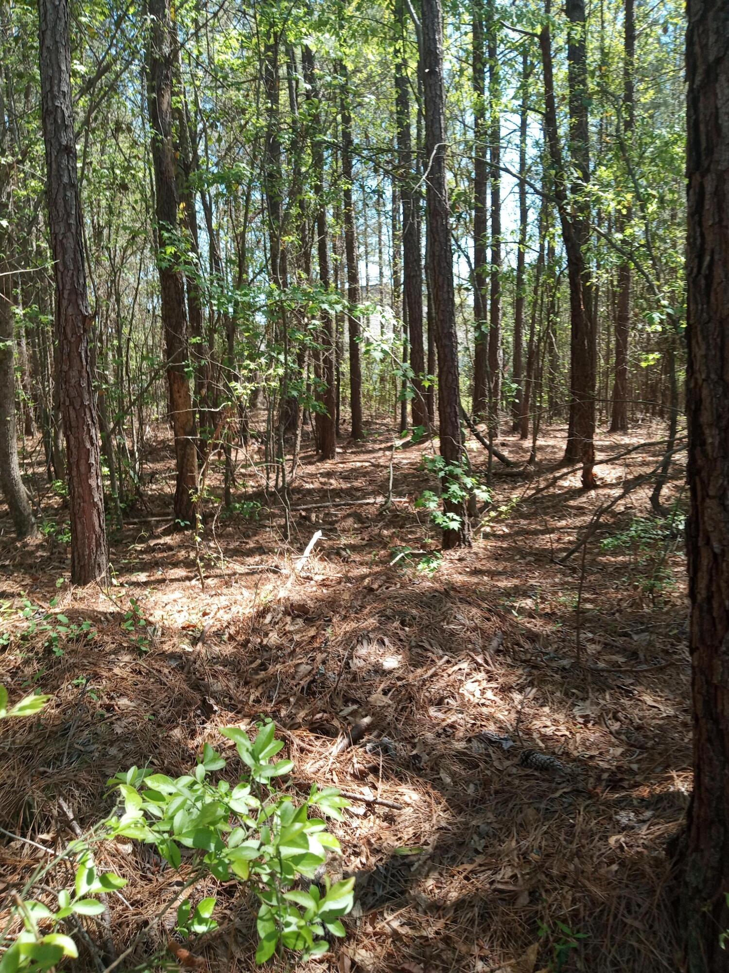 6 Country Club Road Edgefield, SC 29824 - Photo 11 of 15 IMG_20230330_134451036