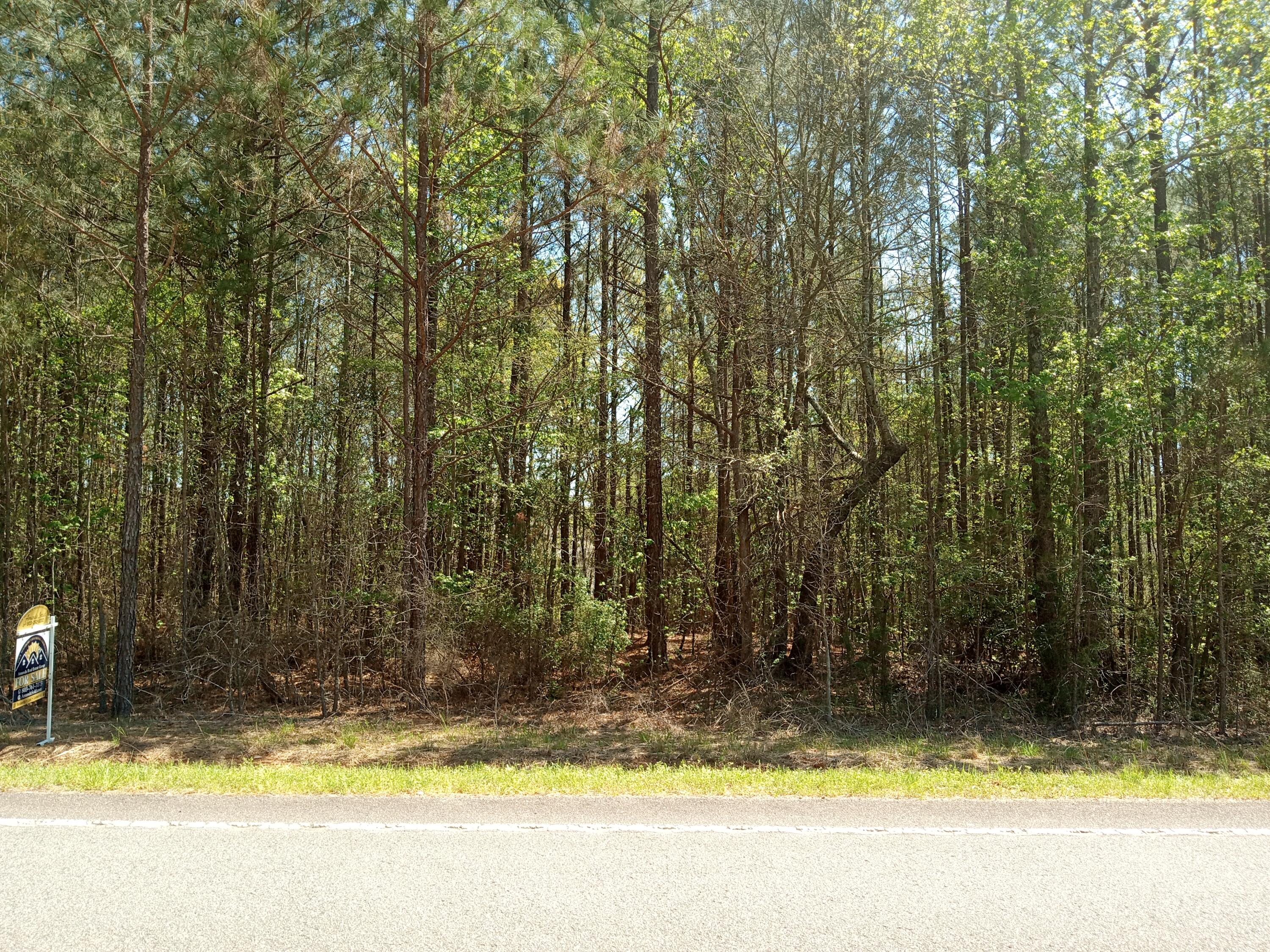 6 Country Club Road Edgefield, SC 29824 - Photo 3 of 15 IMG_20230330_134413356