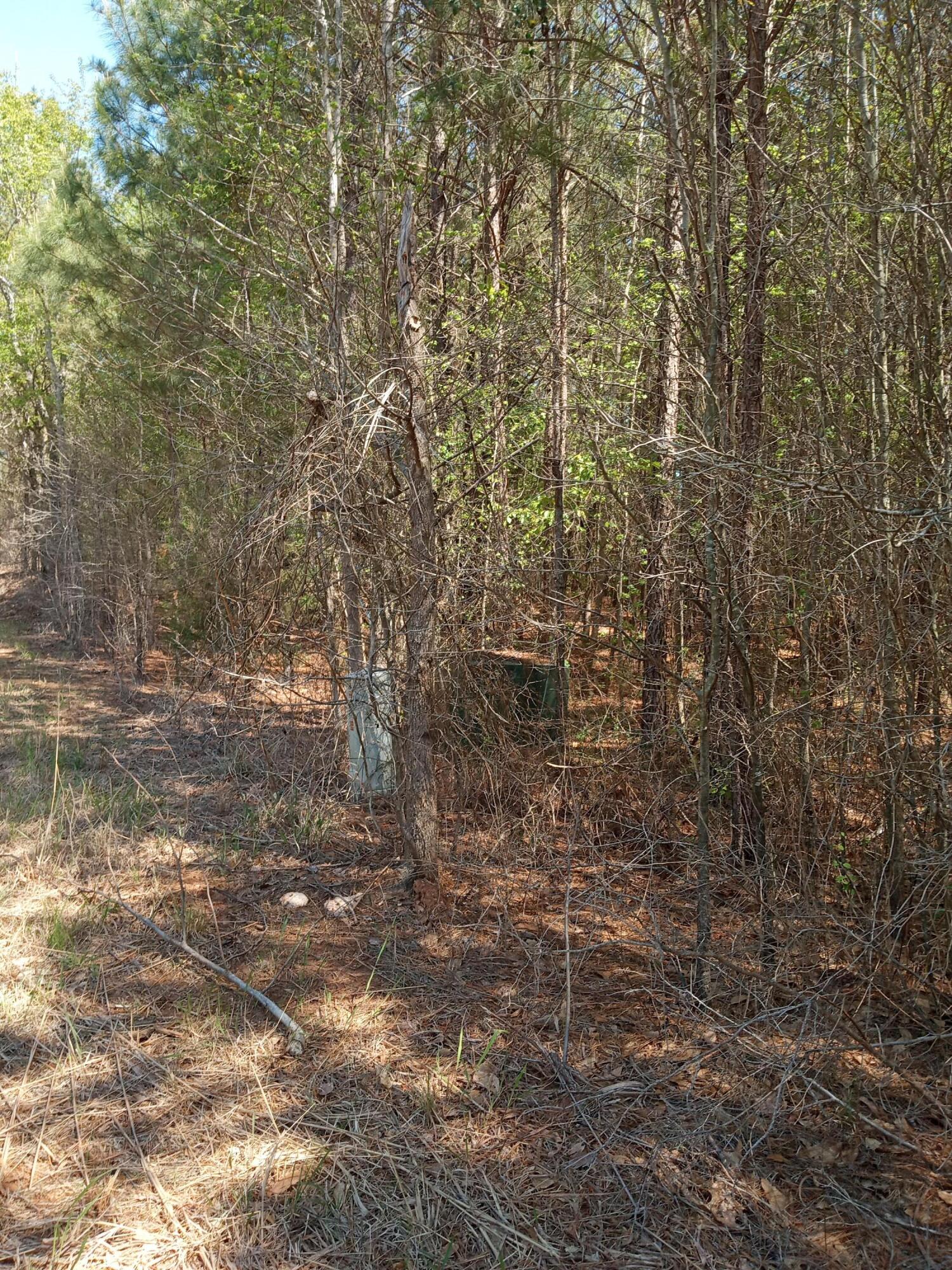 6 Country Club Road Edgefield, SC 29824 - Photo 8 of 15 IMG_20230330_134551317