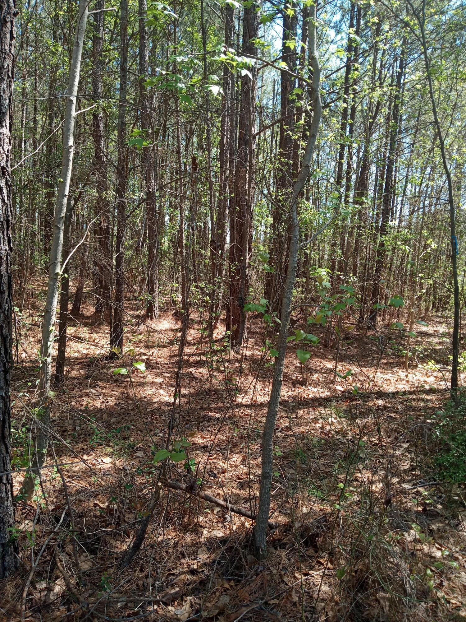 6 Country Club Road Edgefield, SC 29824 - Photo 10 of 15 IMG_20230330_134645796