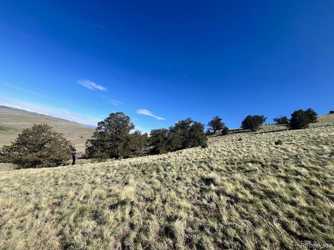 110 Watonga Road Hartsel, CO 80449 - Photo 17 of 31