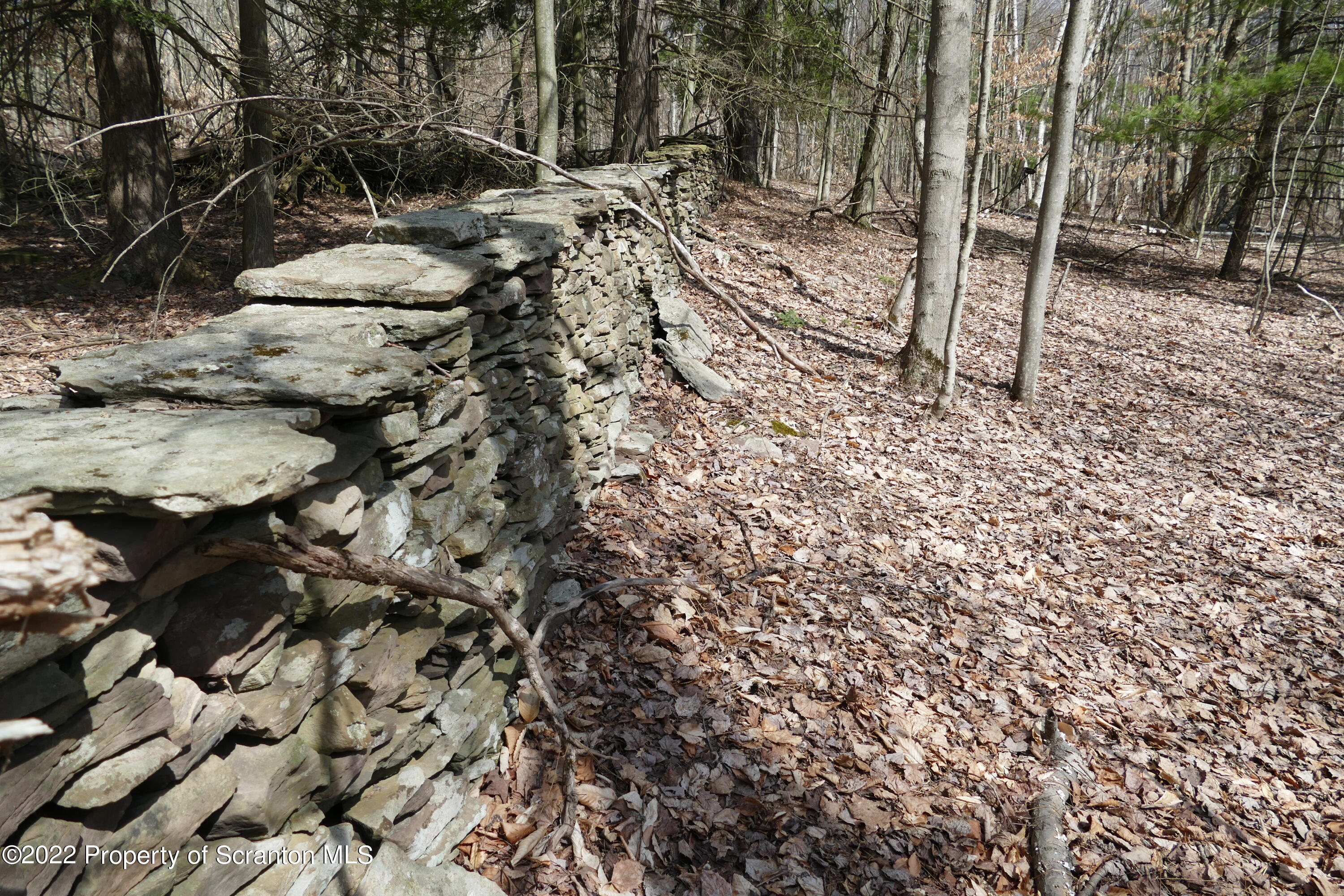 Hunsinger Road Laceyville, PA 18623 - Photo 12 of 18 So nice
