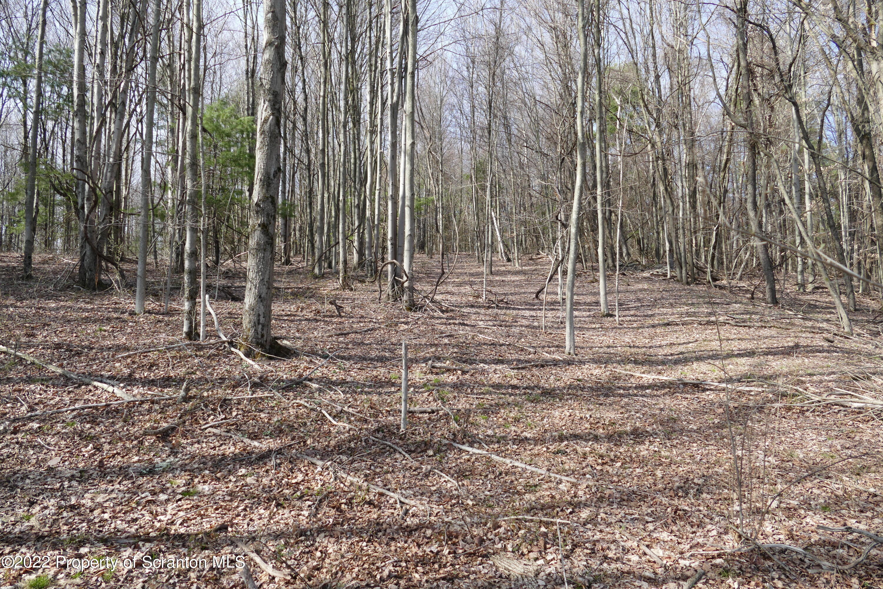 Hunsinger Road Laceyville, PA 18623 - Photo 3 of 18 Old Field