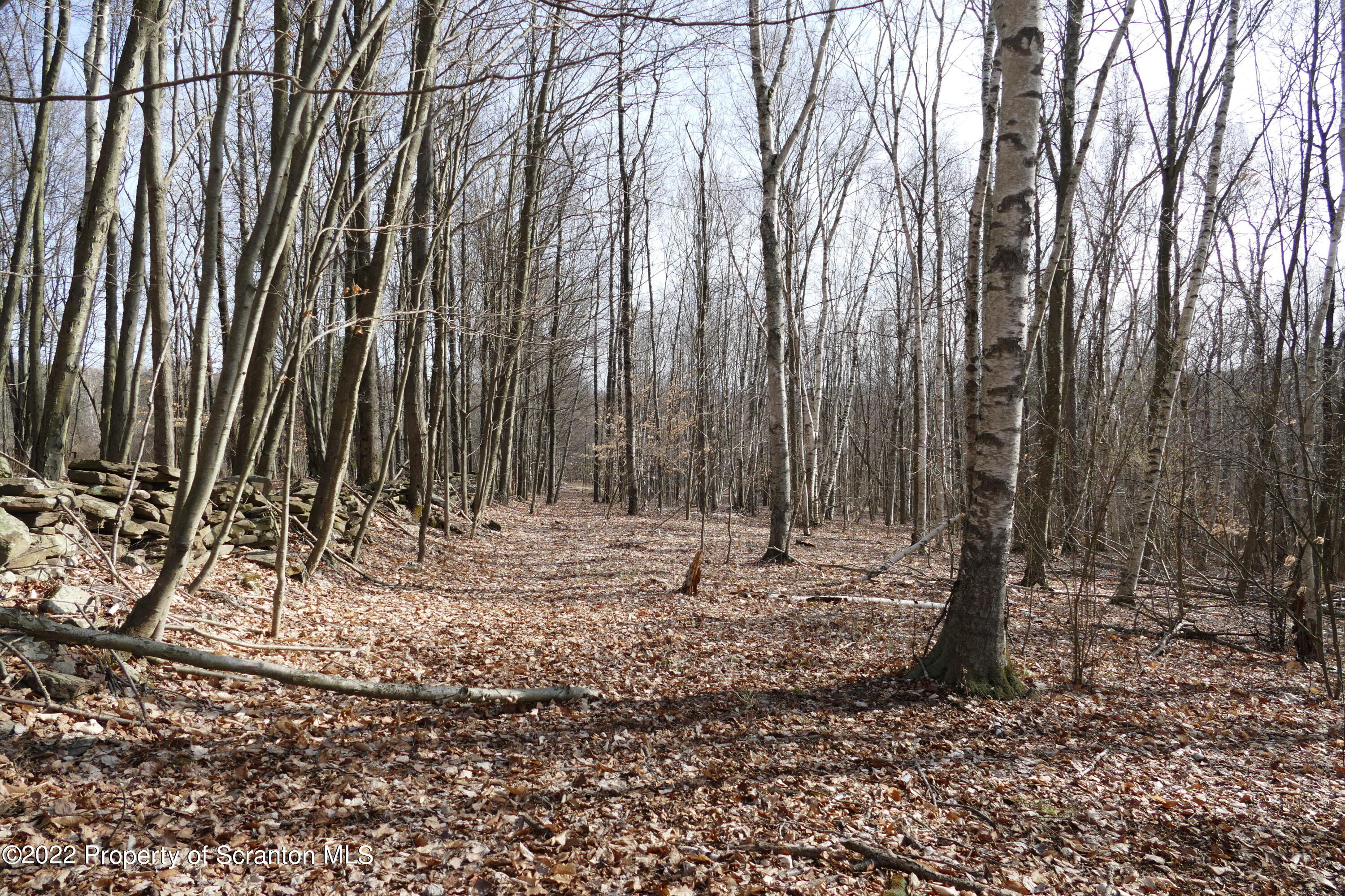 Hunsinger Road Laceyville, PA 18623 - Photo 4 of 18 33 Acres!
