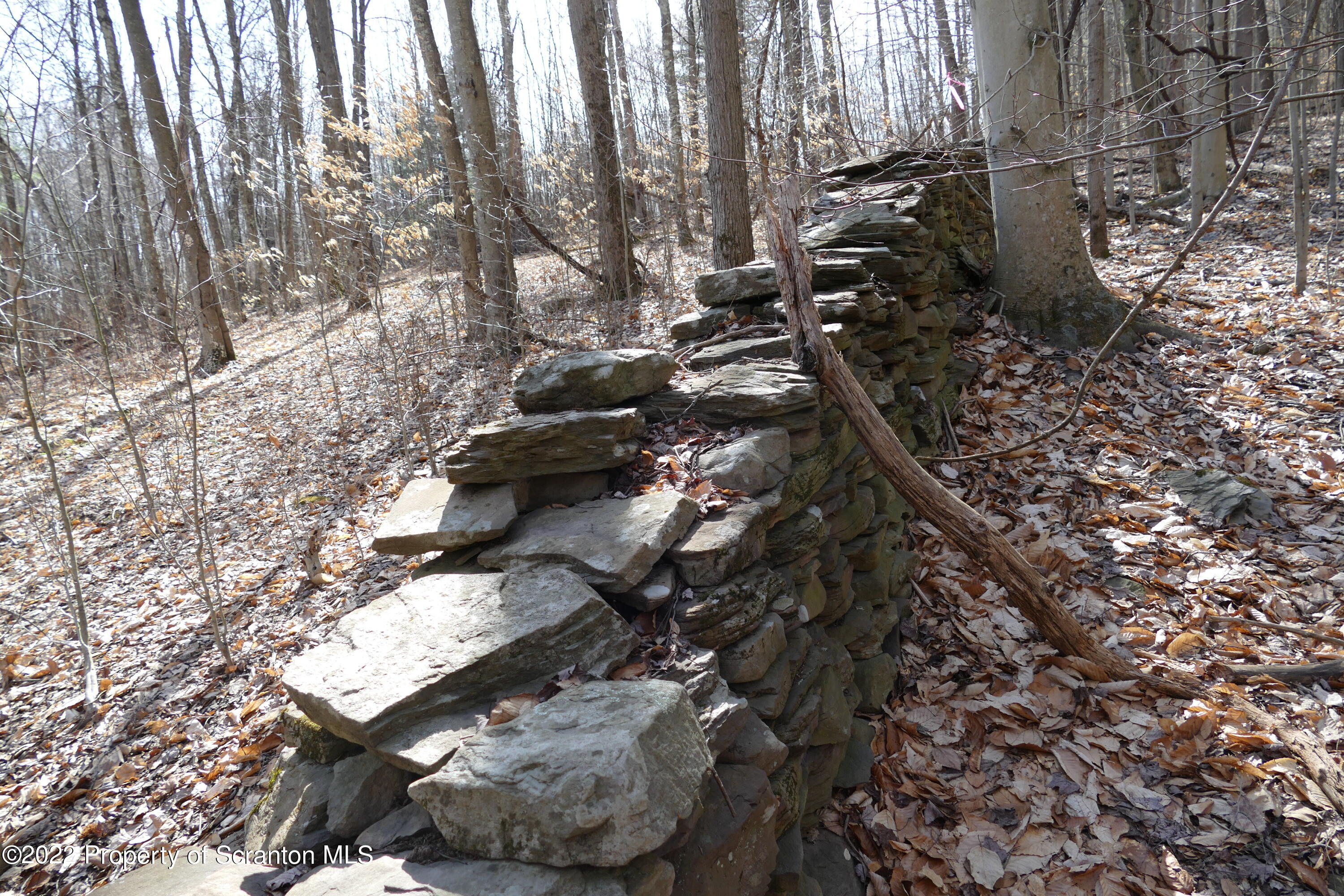 Hunsinger Road Laceyville, PA 18623 - Photo 6 of 18 More stone walls