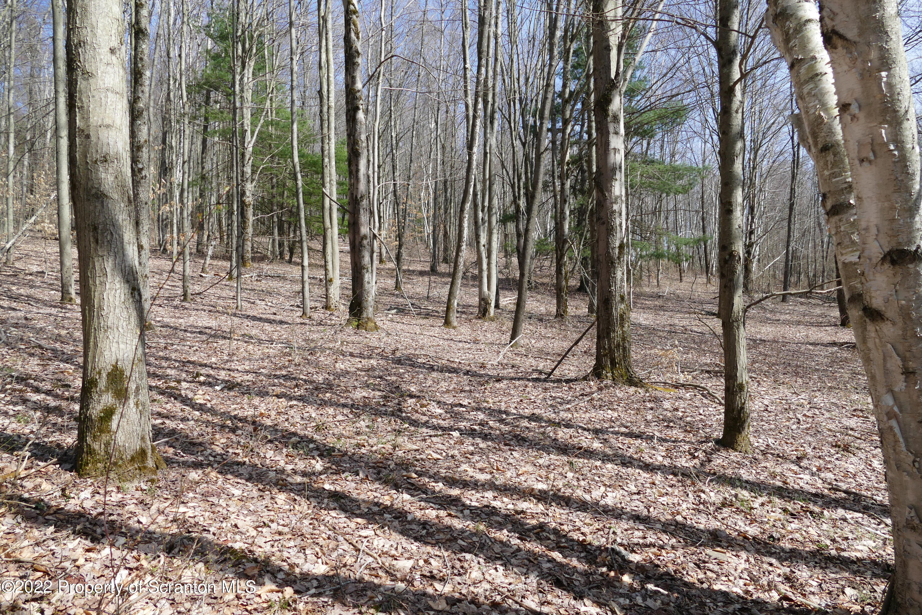 Hunsinger Road Laceyville, PA 18623 - Photo 7 of 18 Nice Topography