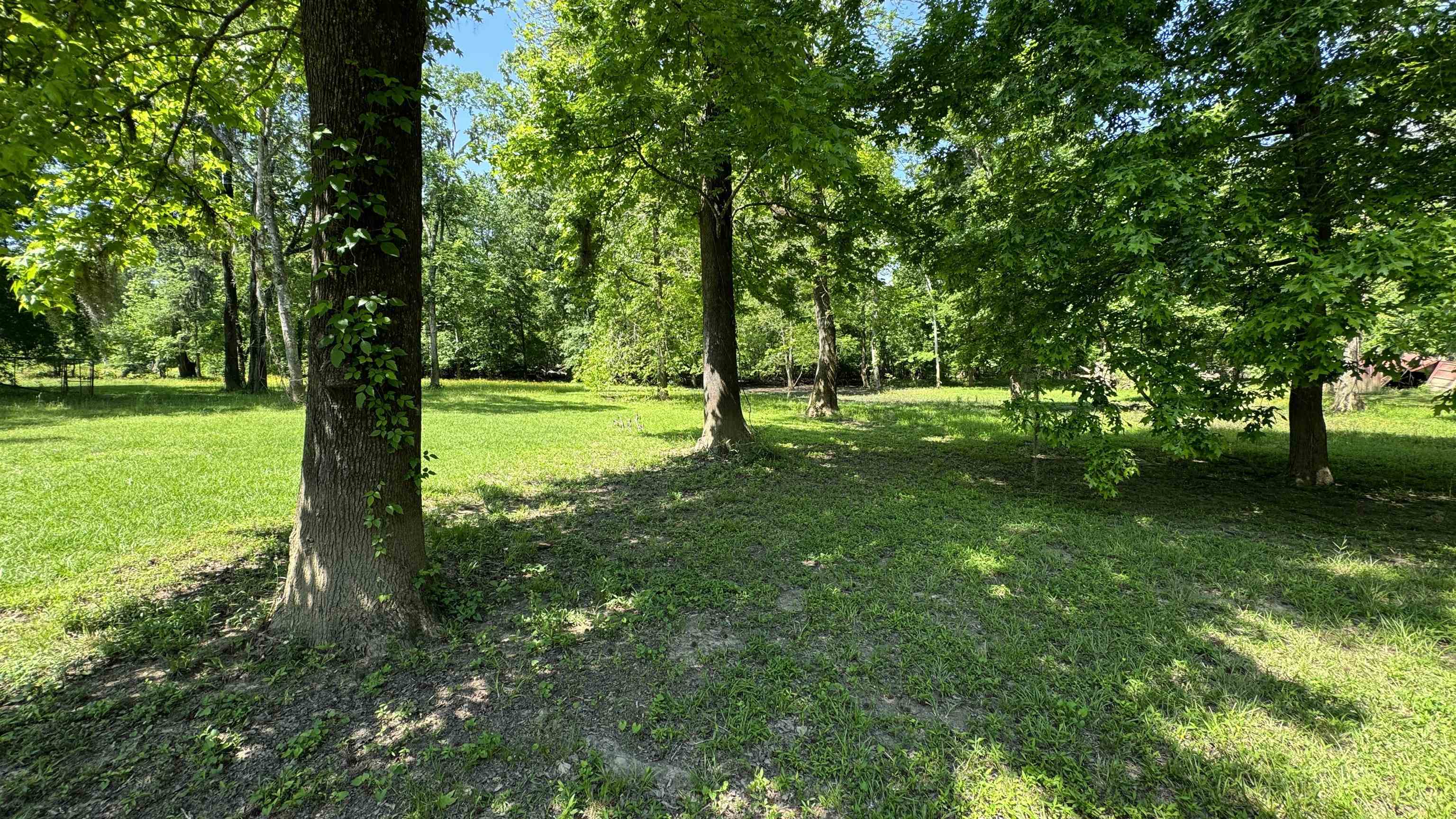 420 Lakeside Drive McIntosh, AL 36553 - Photo 29 of 32