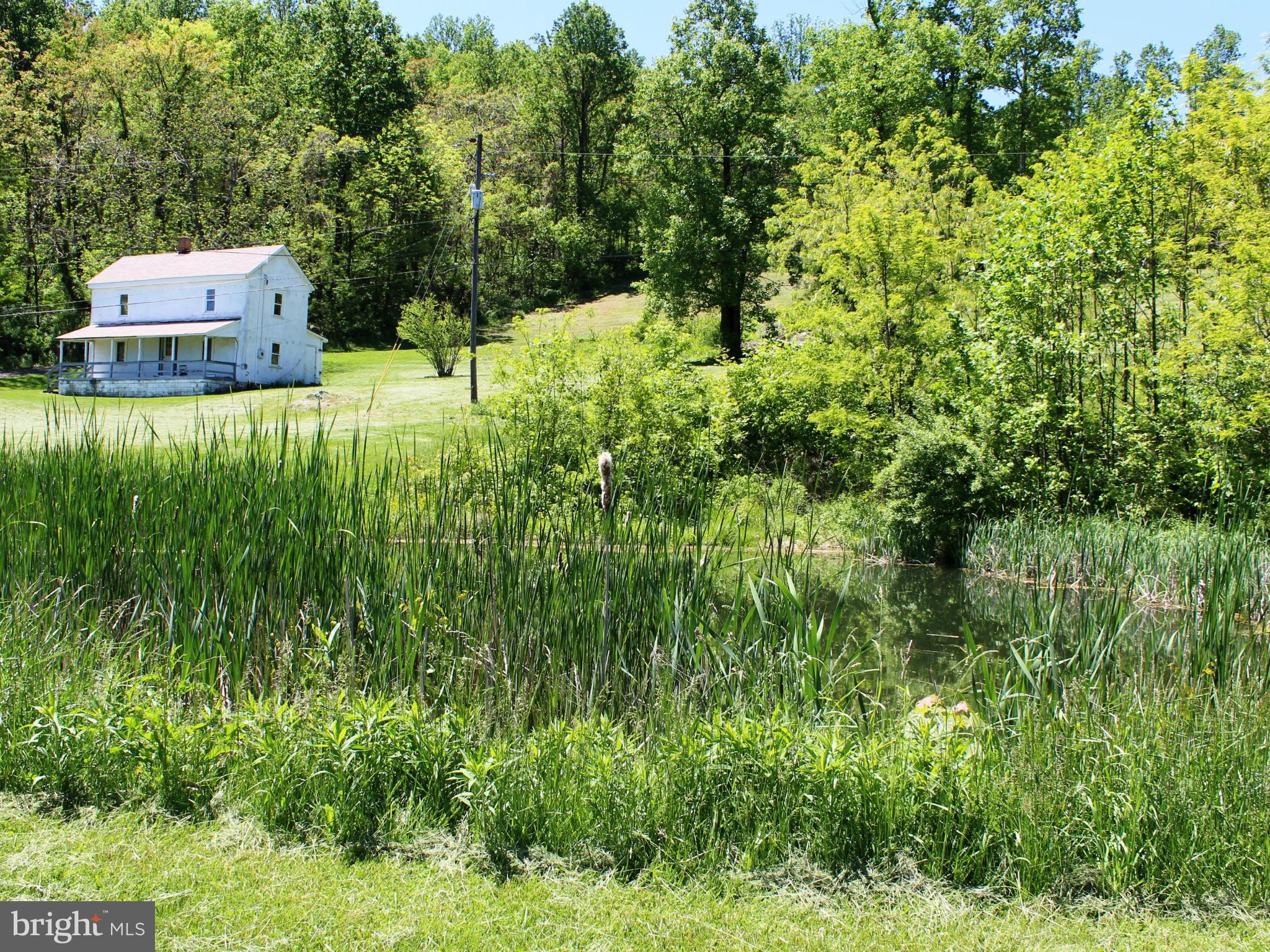 44 Head Waters Road Chester Gap, VA 22623 - Photo 2 of 11 Exterior (General)