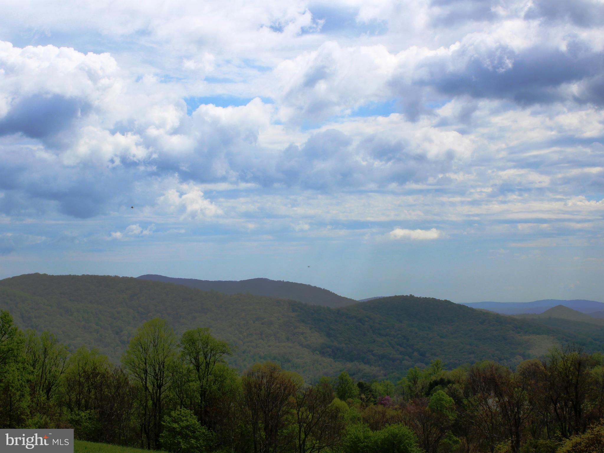 44 Head Waters Road Chester Gap, VA 22623 - Photo 11 of 11 View