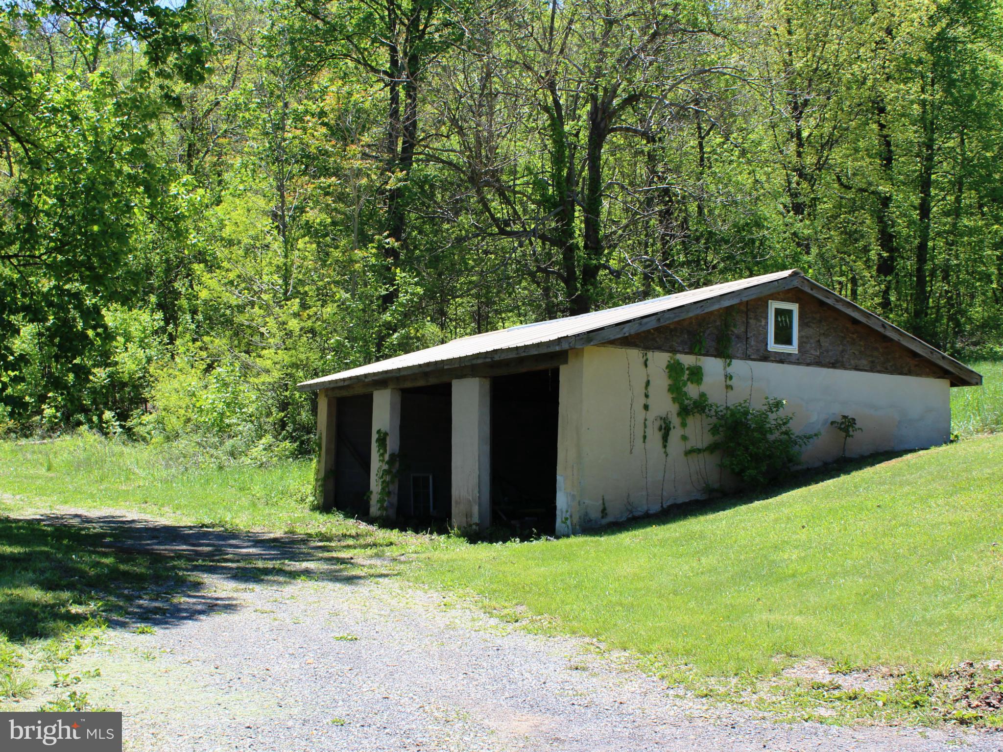 44 Head Waters Road Chester Gap, VA 22623 - Photo 3 of 11 Exterior (Rear)
