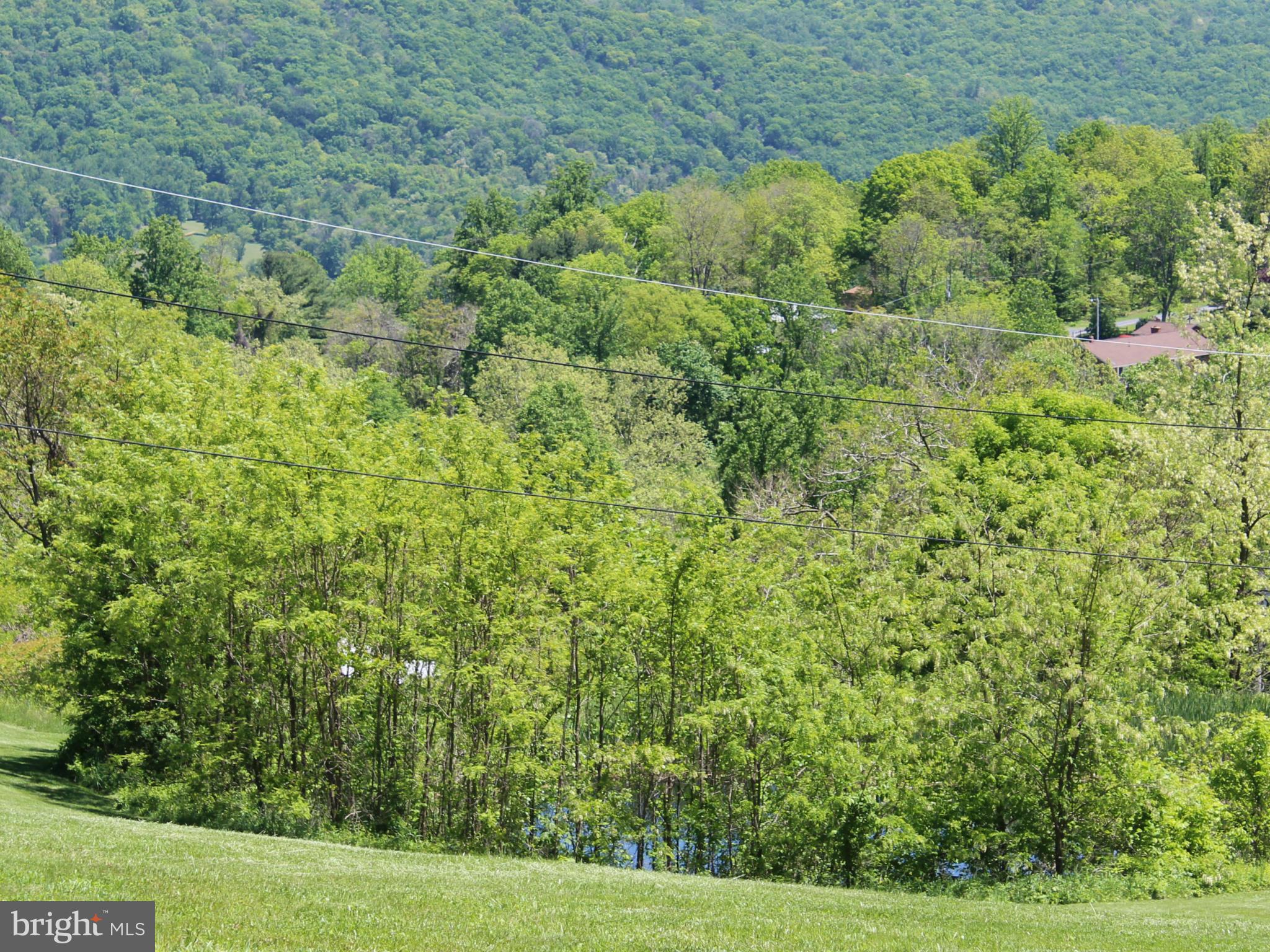 44 Head Waters Road Chester Gap, VA 22623 - Photo 6 of 11 Exterior (General)