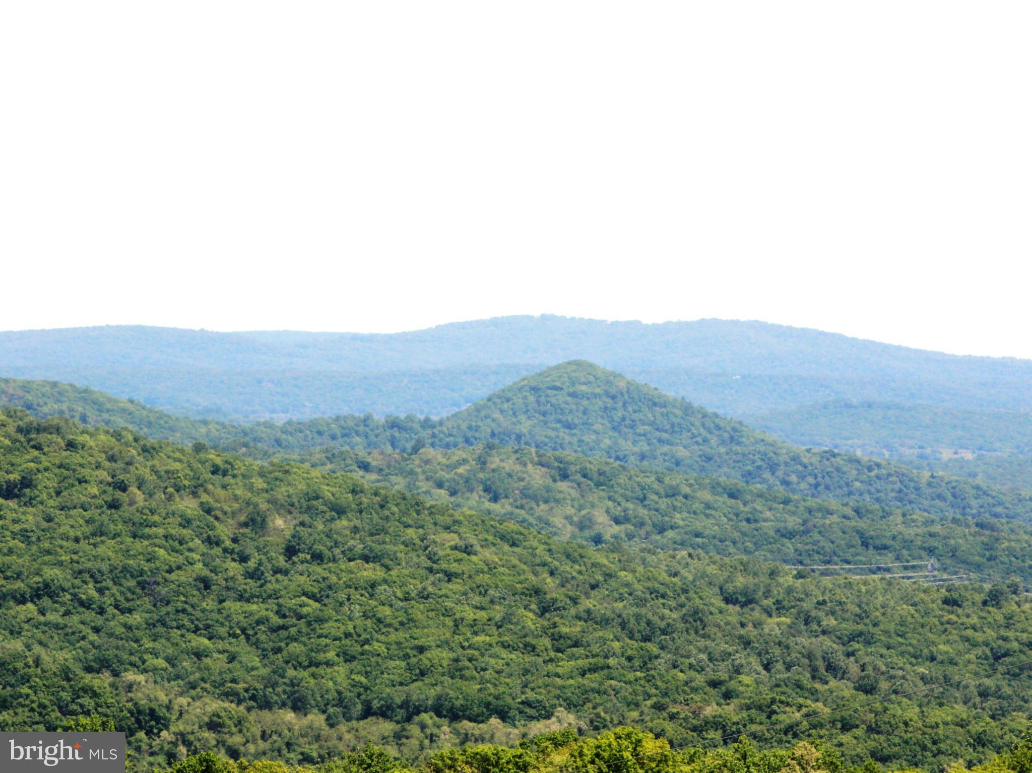 44 Head Waters Road Chester Gap, VA 22623 - Photo 8 of 11 View