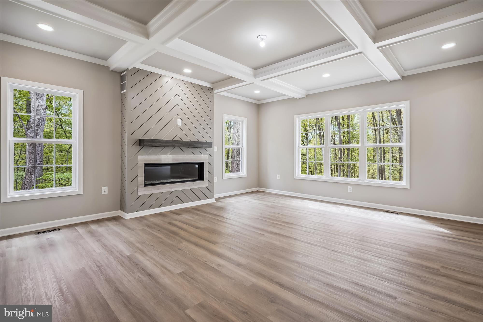 2 Eggbornsville Road Rixeyville, VA 22737 - Photo 14 of 63 an empty room with wooden floor fireplace and windows