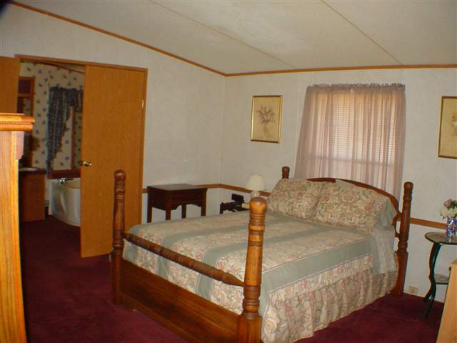 258 Pink Dill Mill Road Greer, SC 29651 - Photo 6 of 12