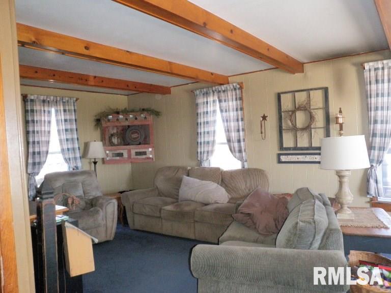 10250 Olson Road Erie, IL 61250 - Photo 5 of 23